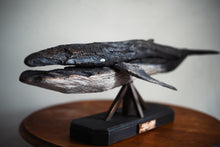 Load image into Gallery viewer, 山根大典|ザトウクジラ 《着払》