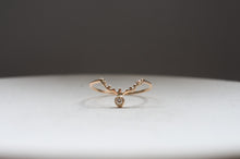 画像をギャラリービューアに読み込む, 北極星と渡り鳥の指環