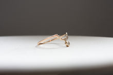 画像をギャラリービューアに読み込む, 北極星と渡り鳥の指環