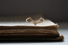 画像をギャラリービューアに読み込む, 北極星と渡り鳥の指環