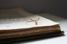 画像をギャラリービューアに読み込む, 北極星と渡り鳥の指環