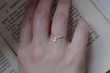 画像をギャラリービューアに読み込む, 北極星と渡り鳥の指環