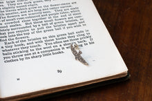 画像をギャラリービューアに読み込む, 滑空鳥のピアス(シルバー)