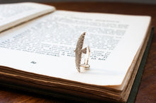 画像をギャラリービューアに読み込む, 滑空鳥のイヤークリップ(シルバー)