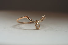 画像をギャラリービューアに読み込む, 北極星と渡り鳥の指環
