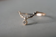 画像をギャラリービューアに読み込む, 北極星と渡り鳥の指環
