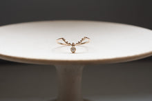 画像をギャラリービューアに読み込む, 北極星と渡り鳥の指環
