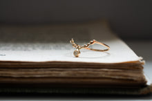 画像をギャラリービューアに読み込む, 北極星と渡り鳥の指環
